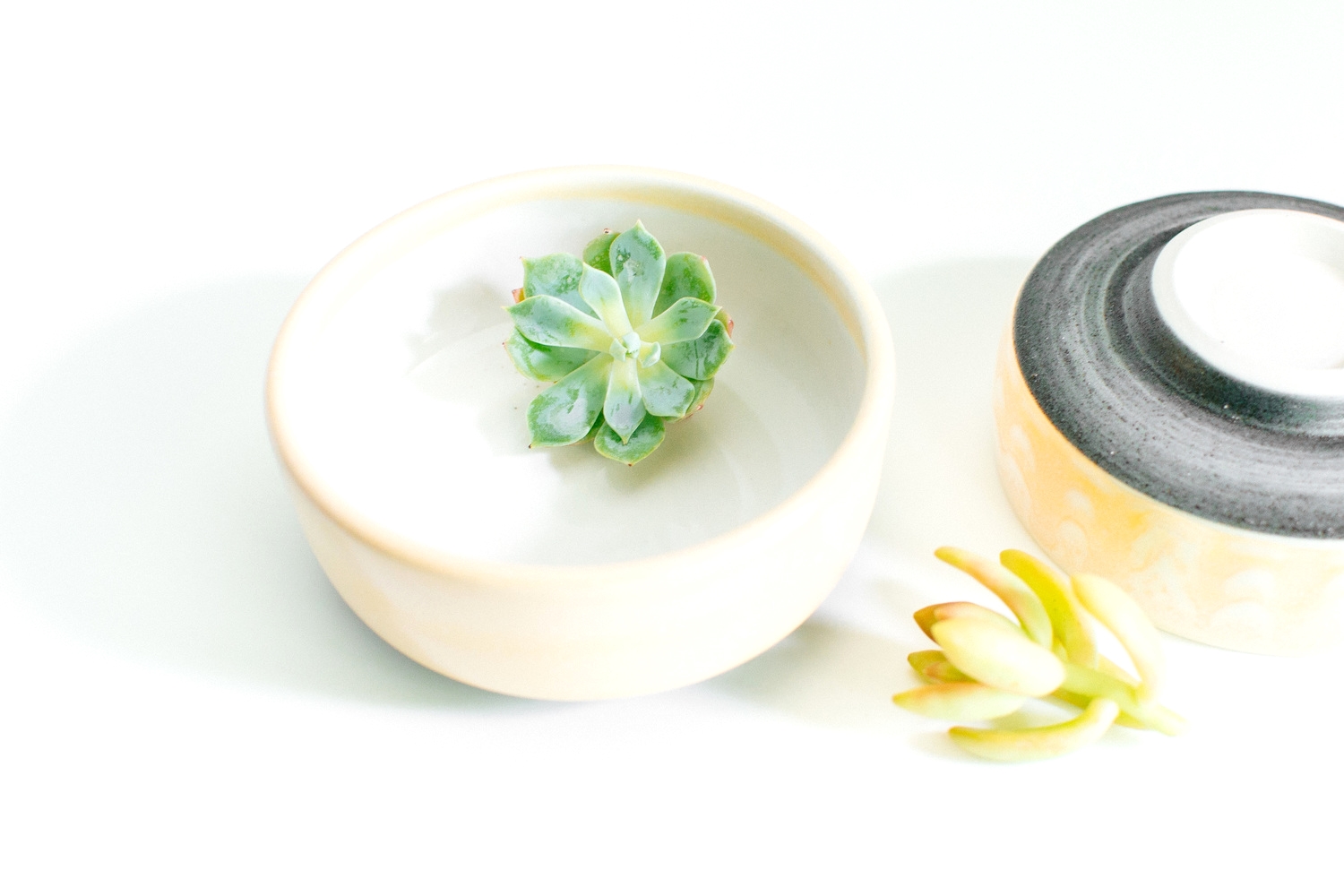 bowl-1.jpg
