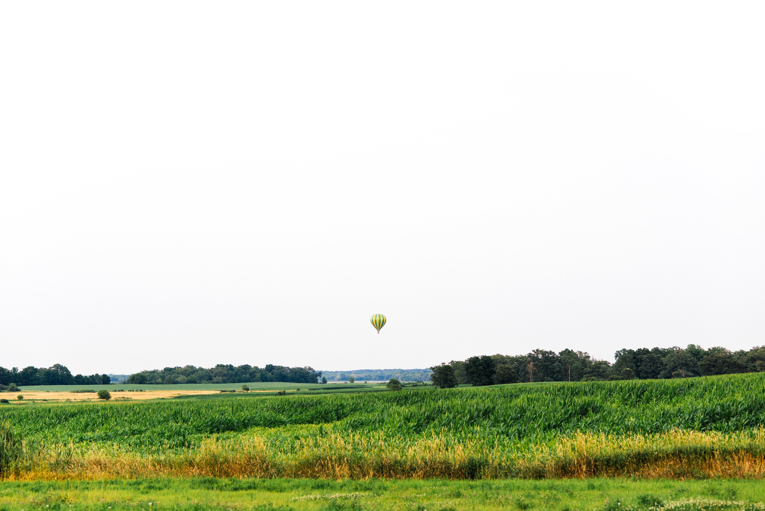 balloon-5.jpg