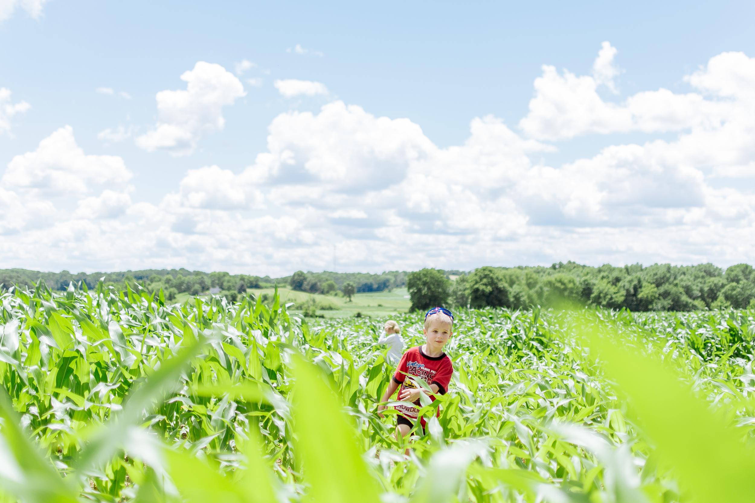 farm-41.jpg