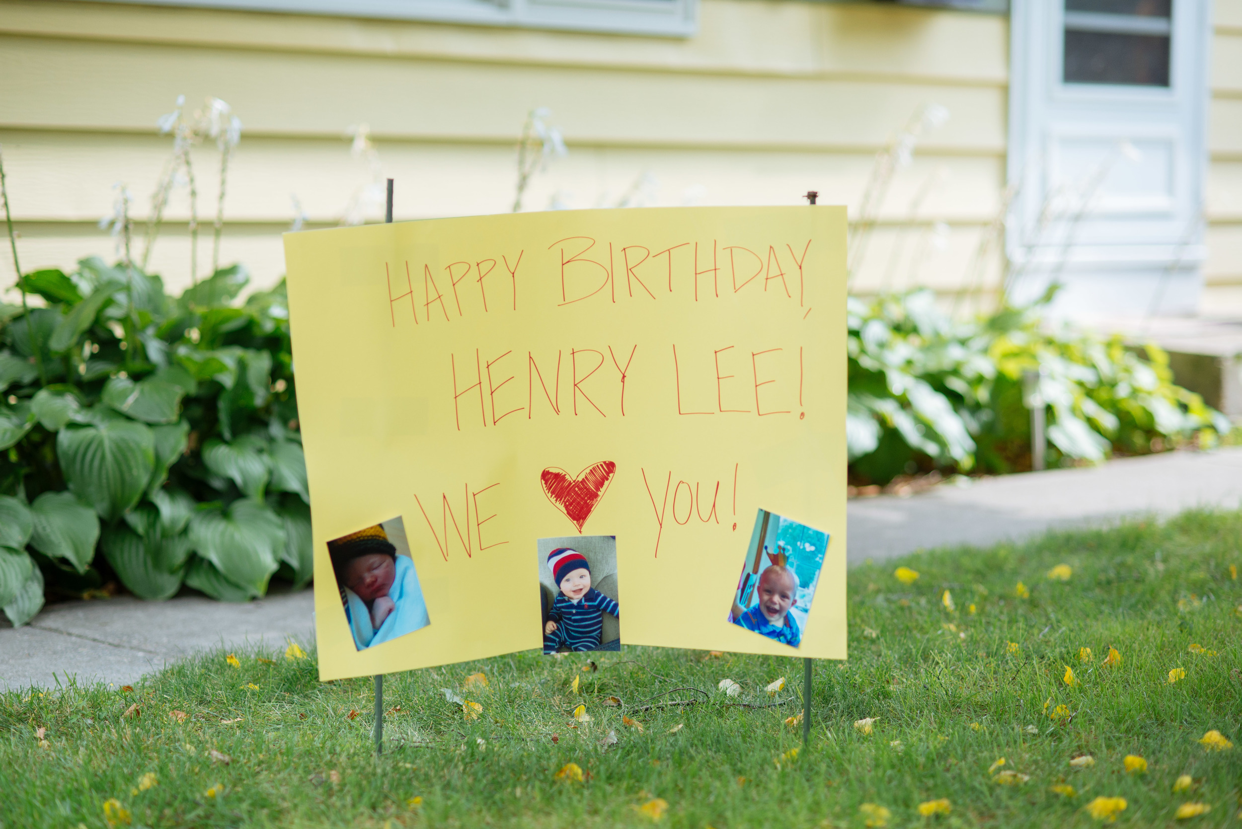 henry-78.jpg