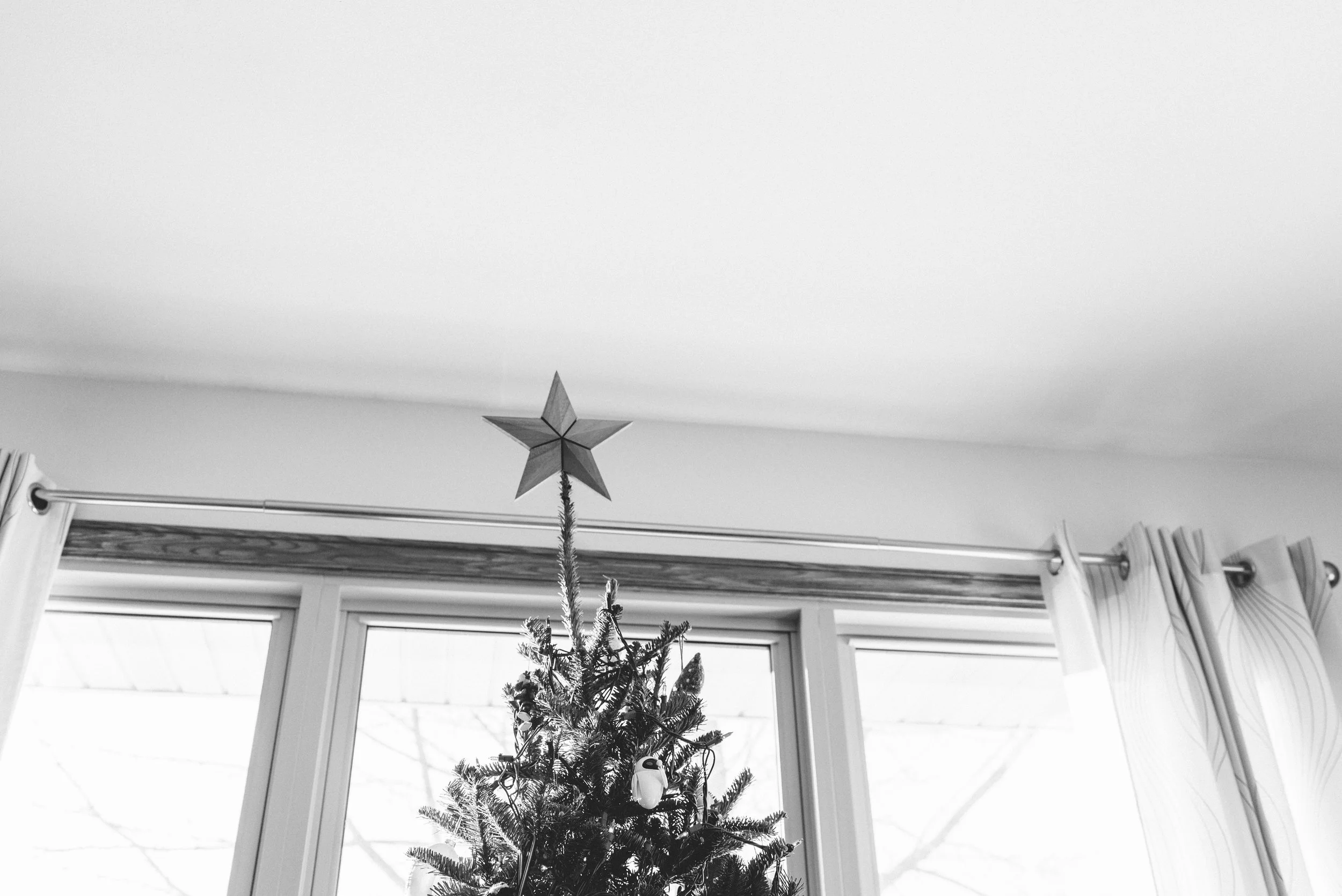 tree-3.jpg