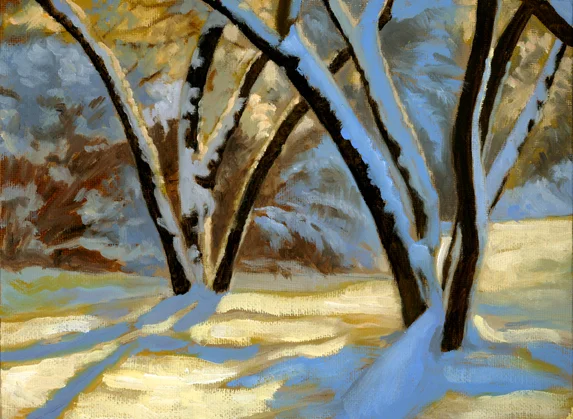 Snow shadows small.jpg