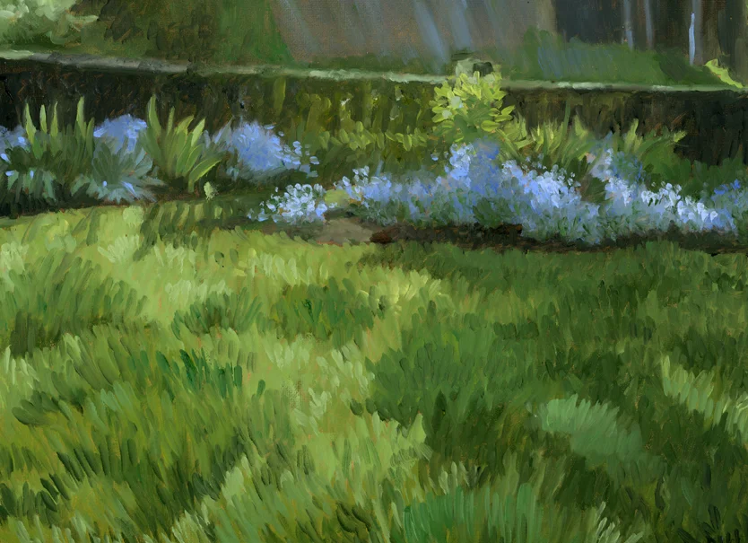 Forget-Me-Nots.jpg