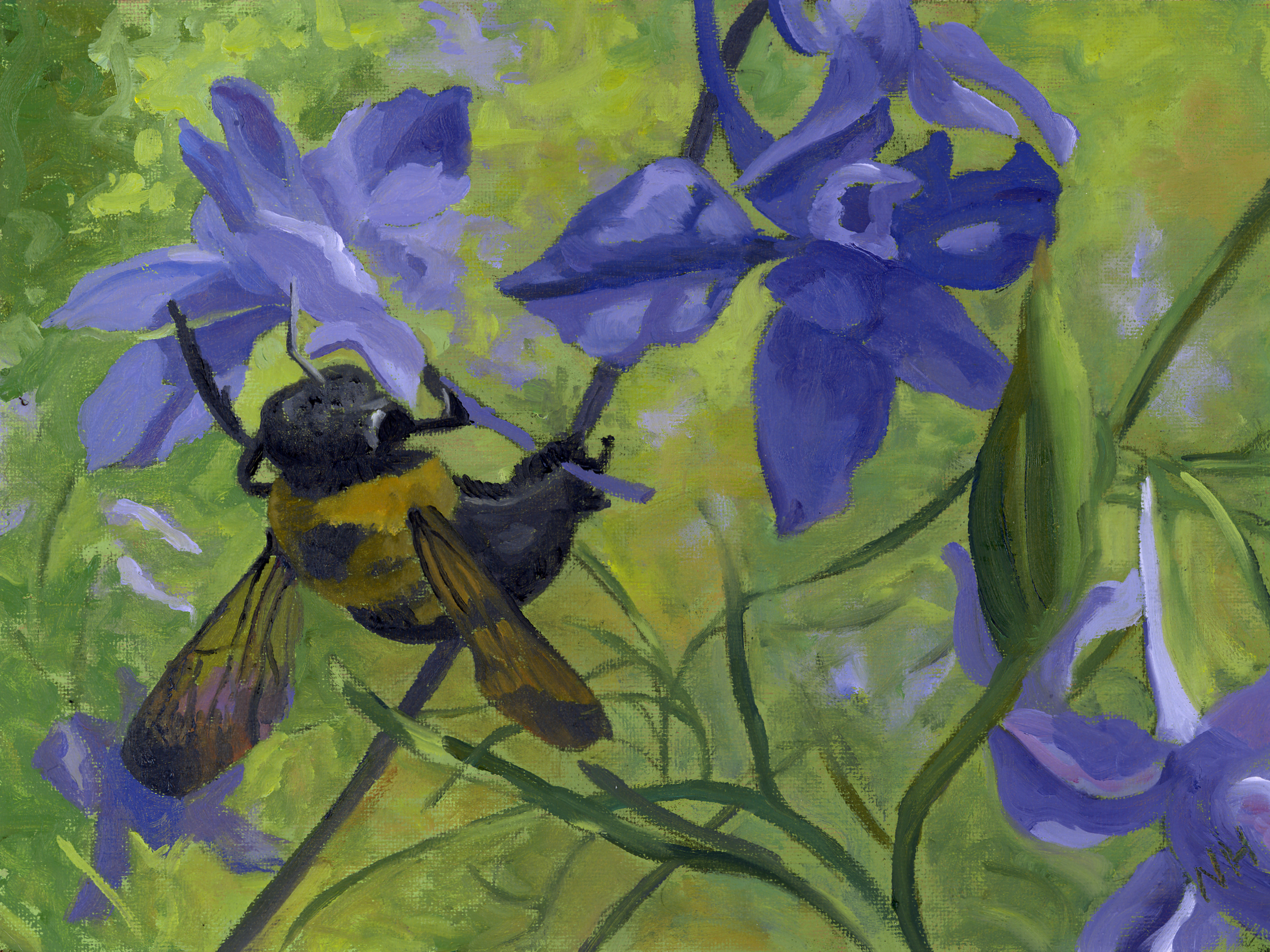 bee and larkspur.jpg