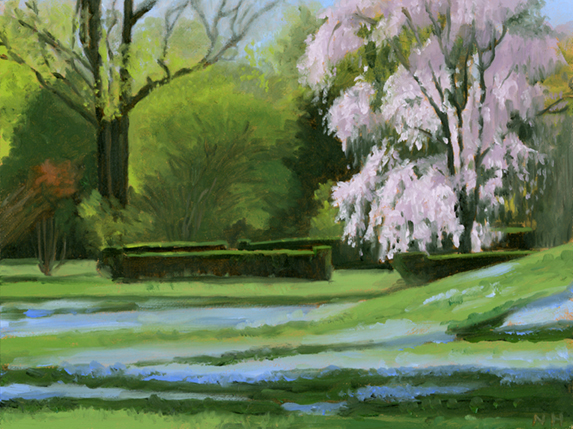 weeping cherry and veronica 2012.jpg