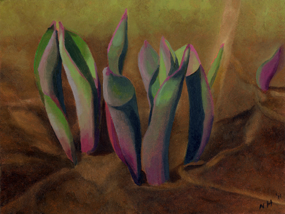 TULIPS LEAVES.jpg