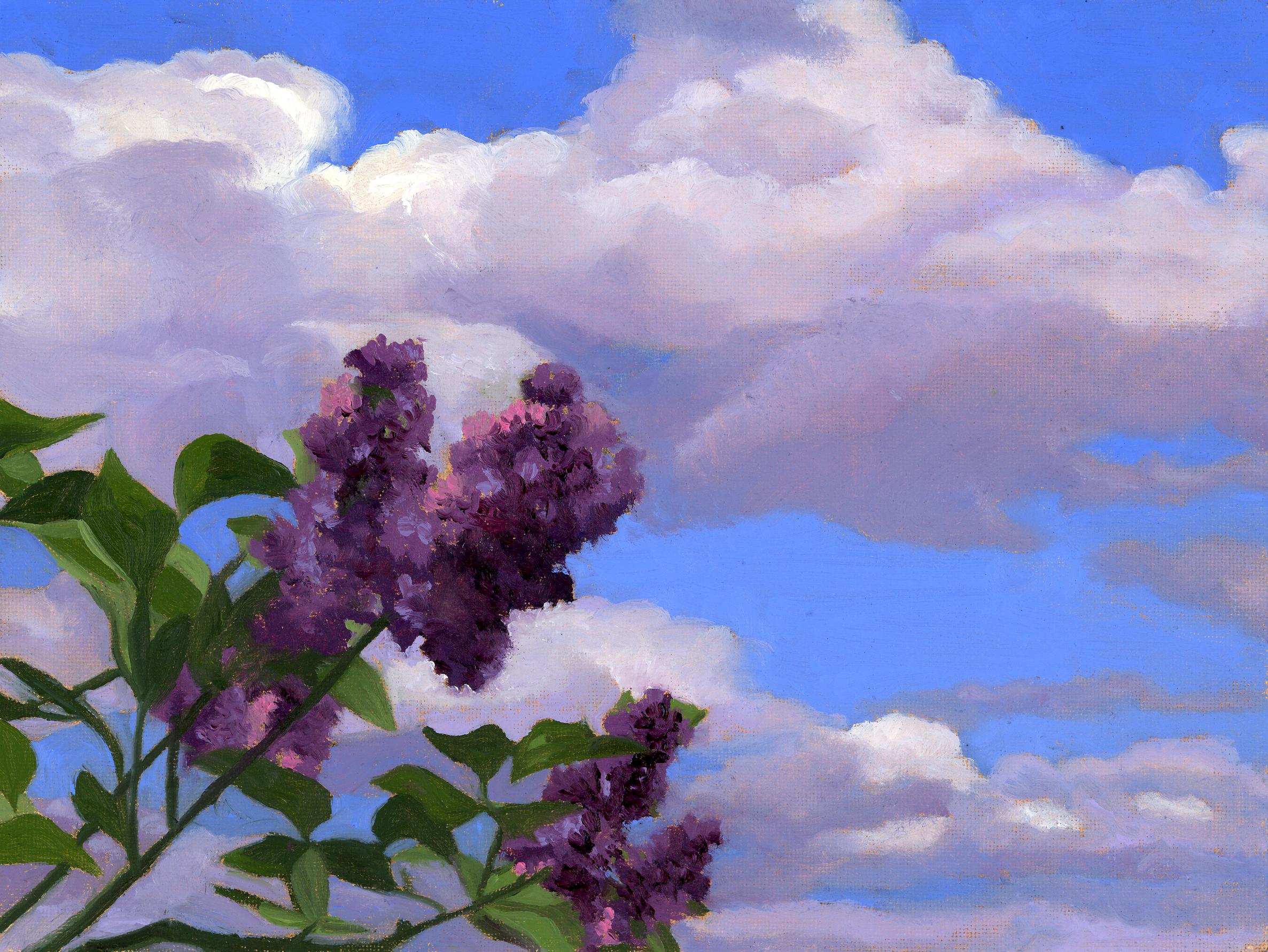 Lilacs-1.jpg