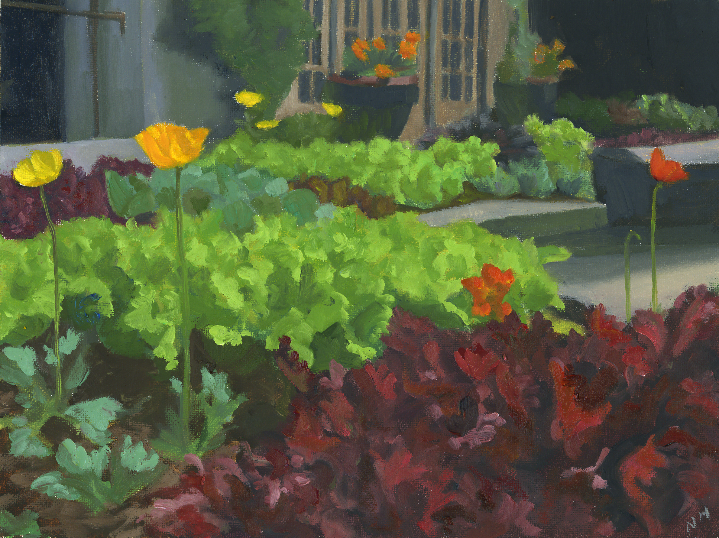 Poppies and Lettuce.jpg
