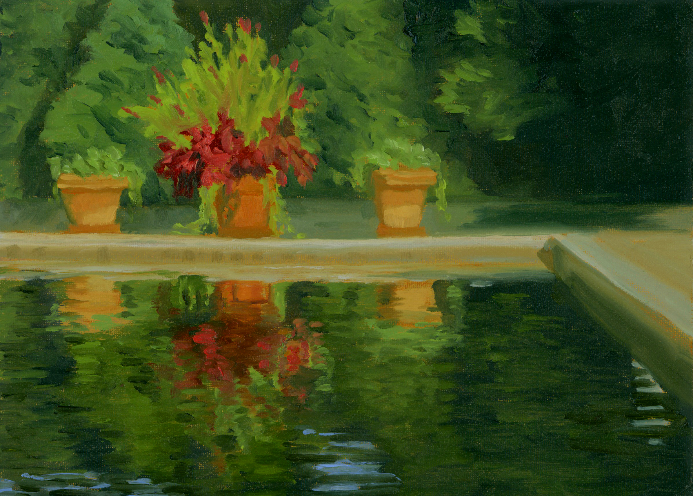 Pool Reflections.jpg