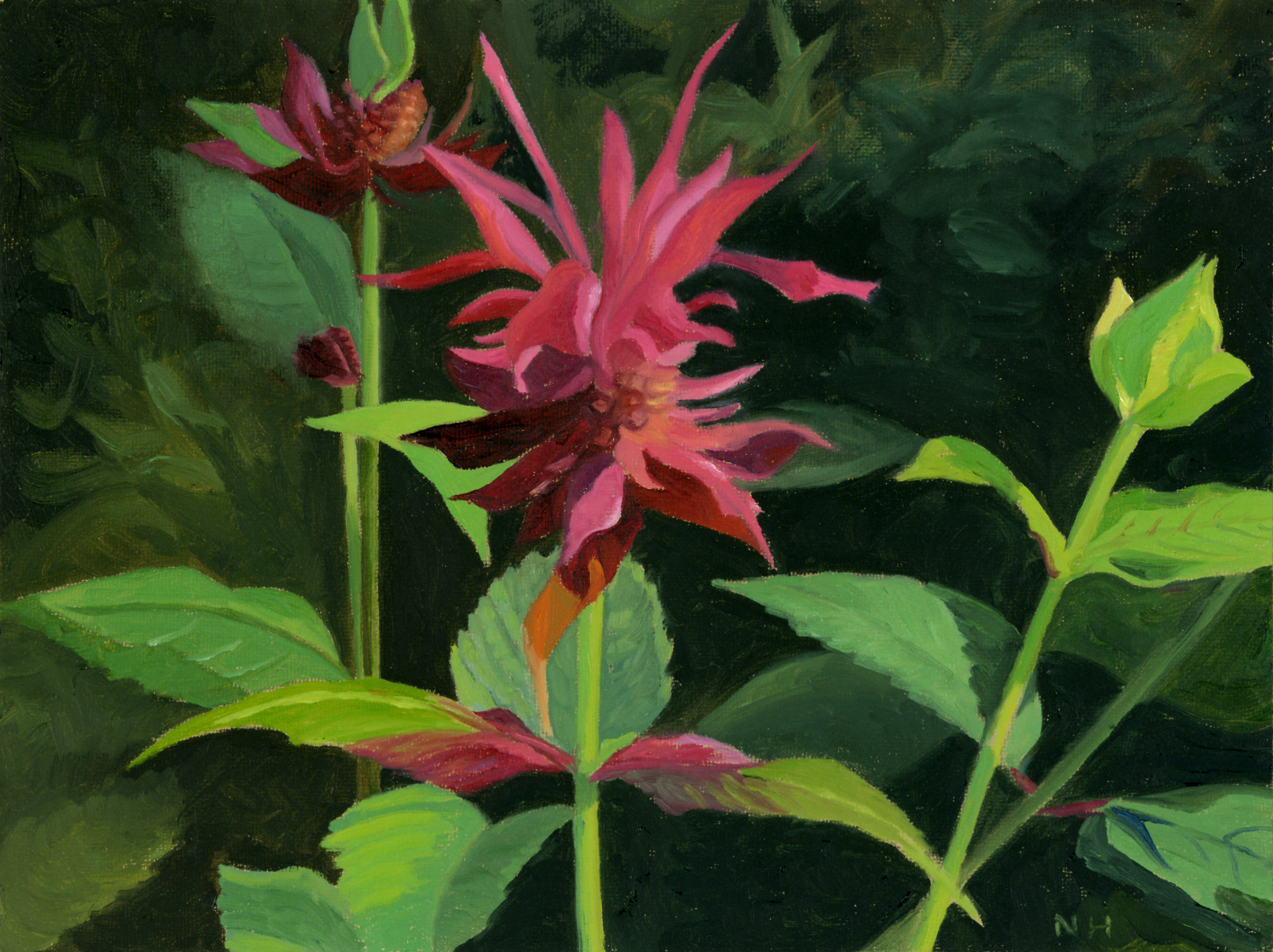 Bee Balm #2.jpg