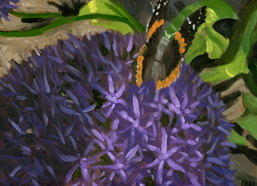 Allium and Butterfly.jpg