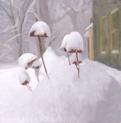 Plants in snow SMALL.jpg