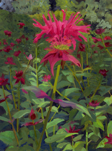 BEE BALM.jpg