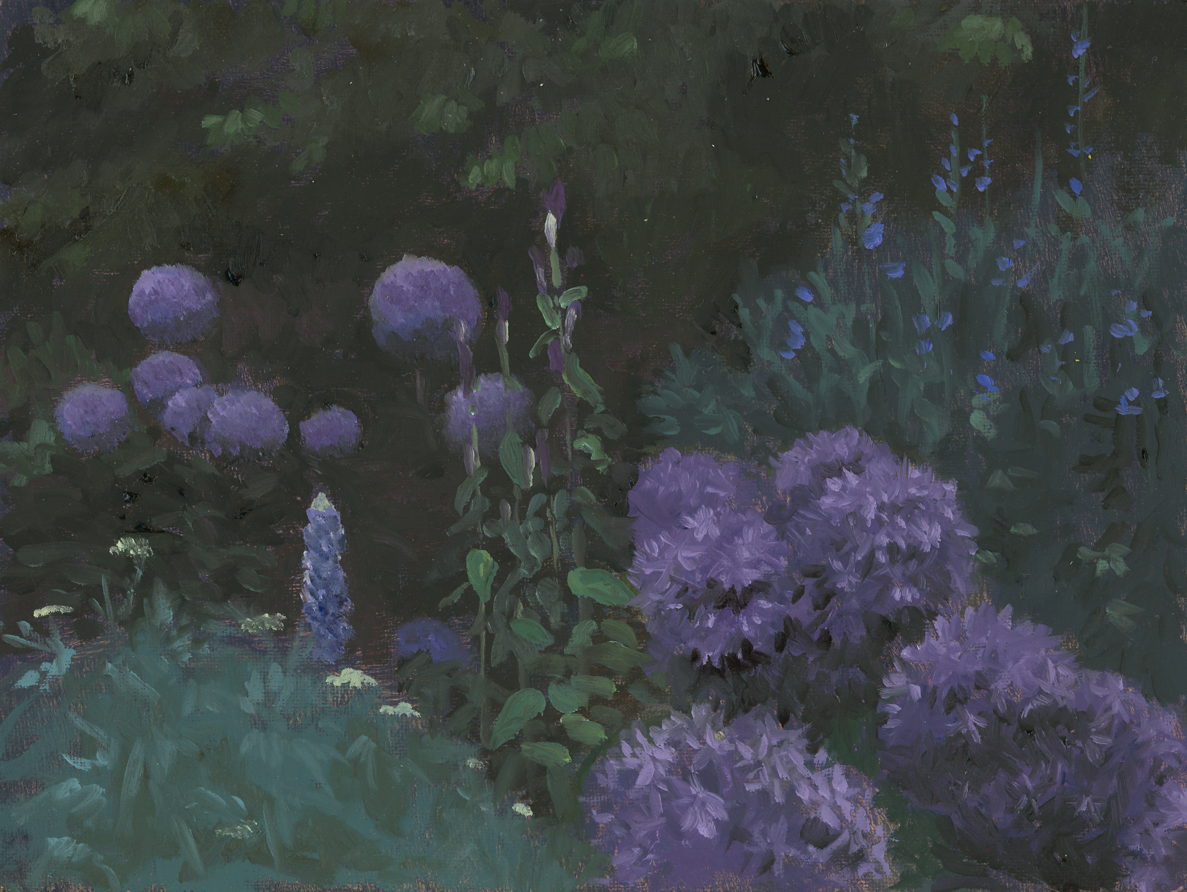 Purple Garden in the Fog small.jpg