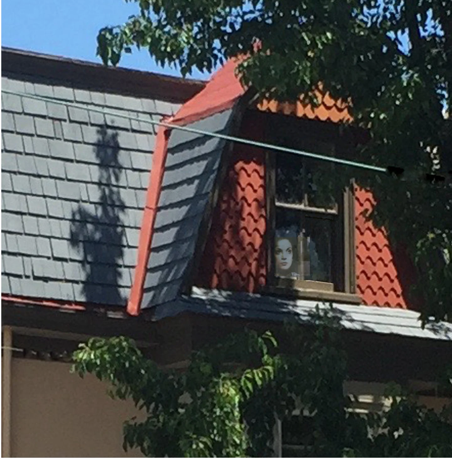 Face in the Window