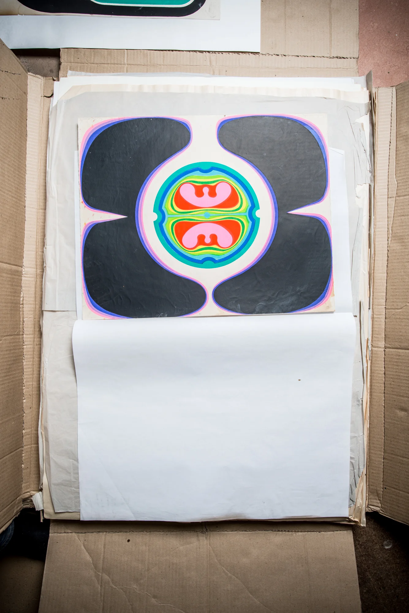 Embryo Schmetterlingsmaschine