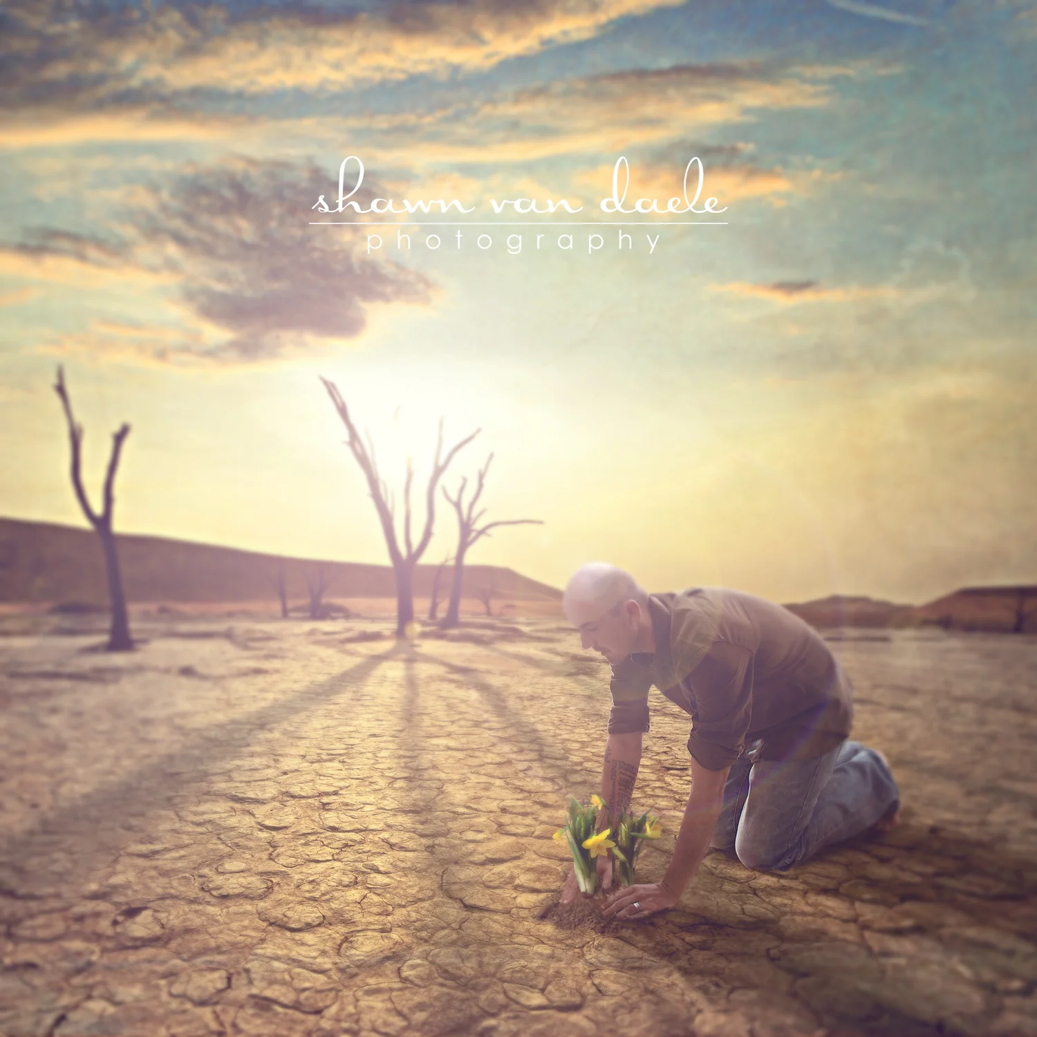 A Little Light In A Time of Darkness