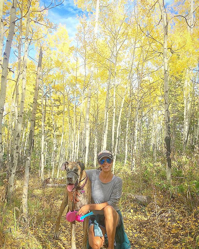 We LOVE being able to visit a whole different season in the mountains.