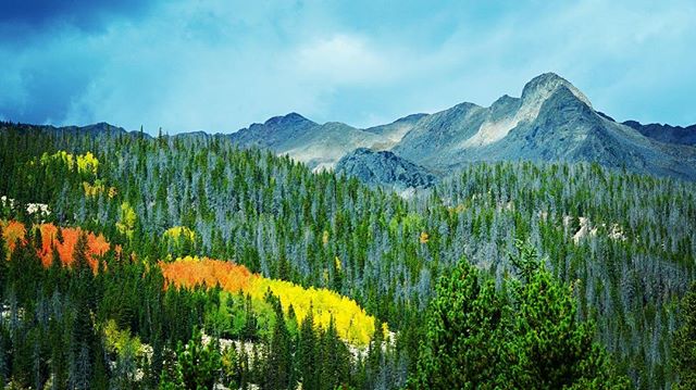 Another beautiful fall day in Colorado! Who wants to go for a hike and take some photos!