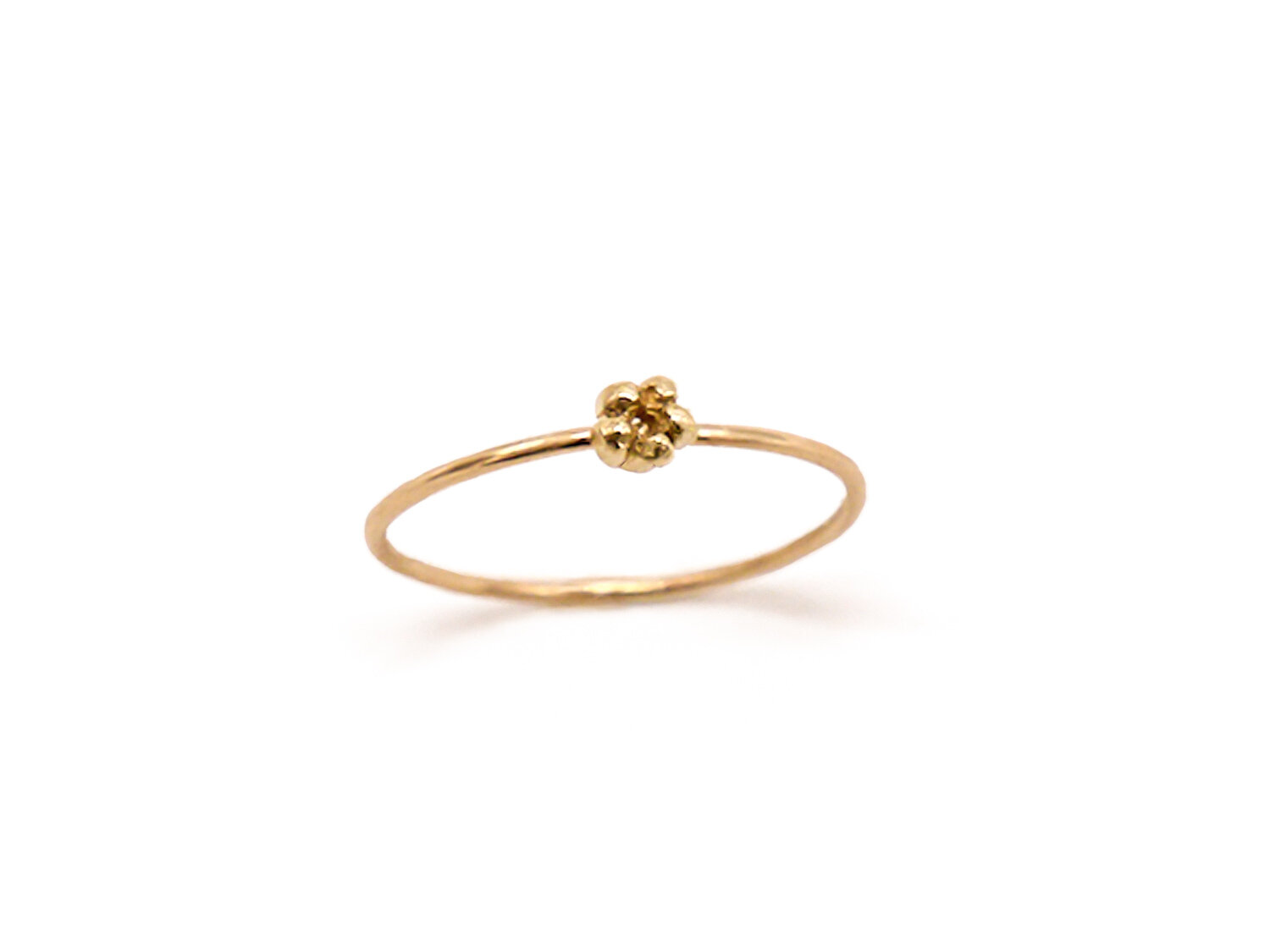 P1050930 edit_v2_YG.jpg