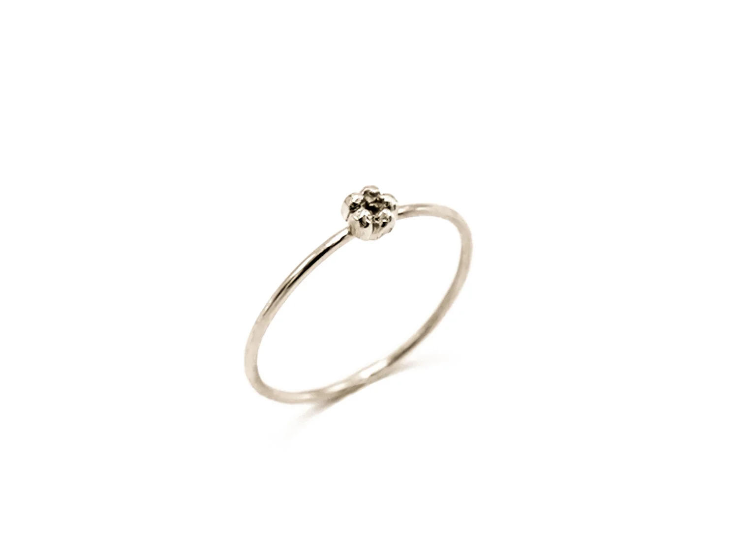 P1050934 edit_v2_WG.jpg