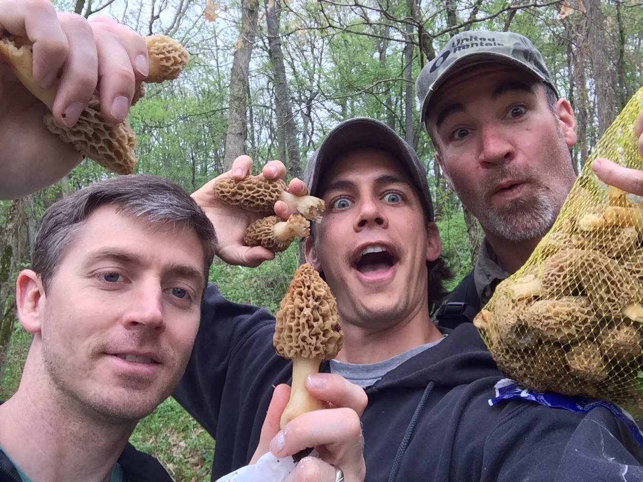 Morel Hunting