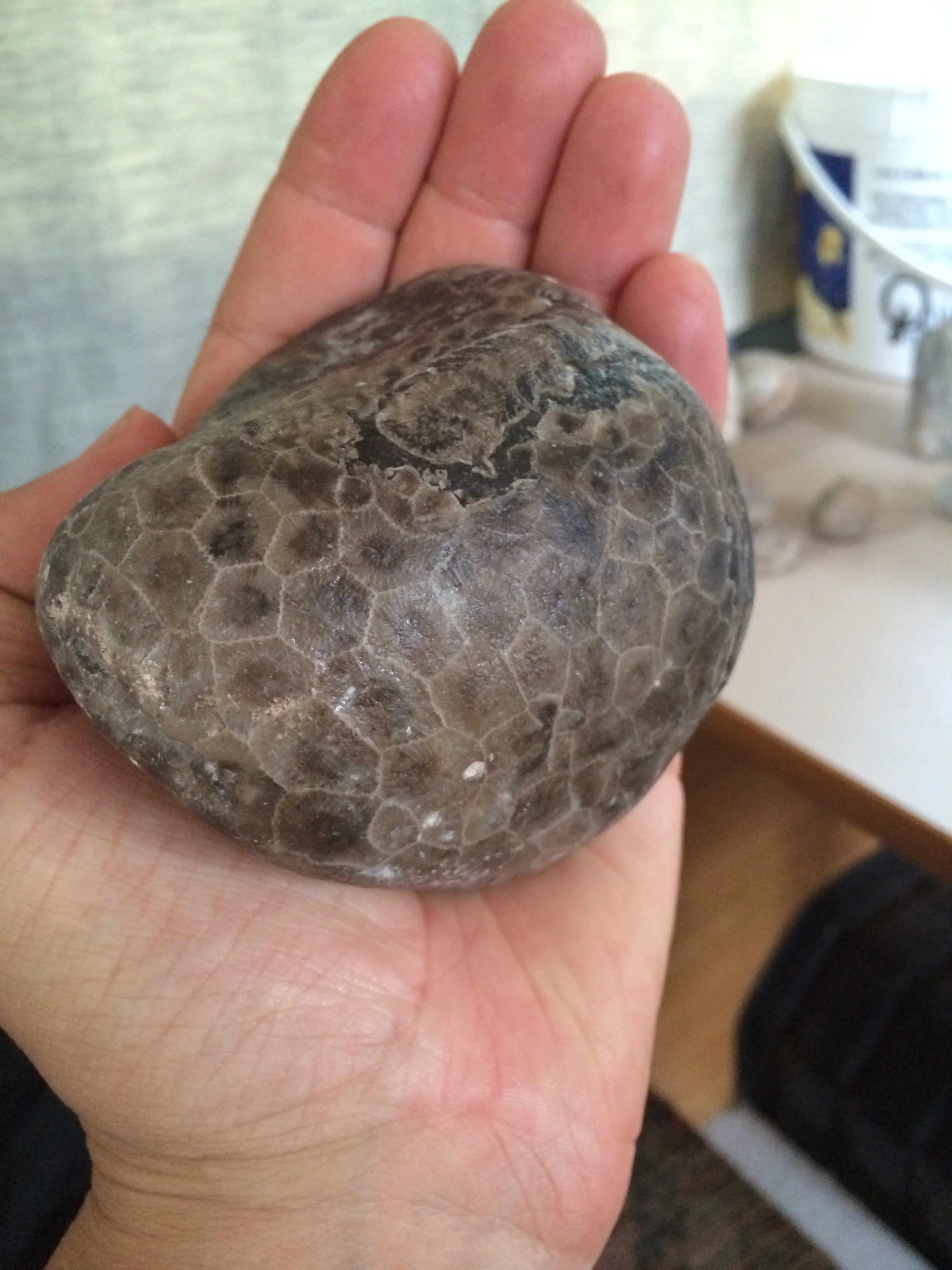 The Promise Land - by Todd Haulenbeek