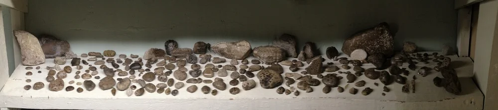 Petoskey counting contest