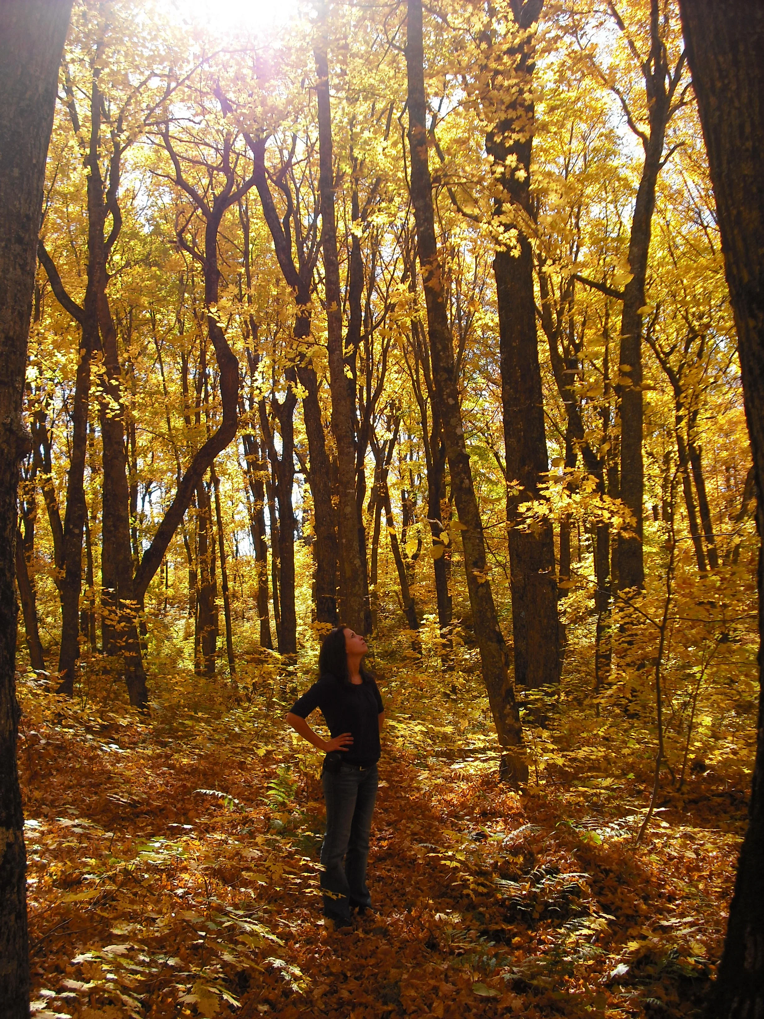 4 Things you can't afford to miss in Michigan this Fall