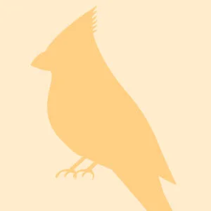 Thumbnails_BirthAnnouncements3.jpg