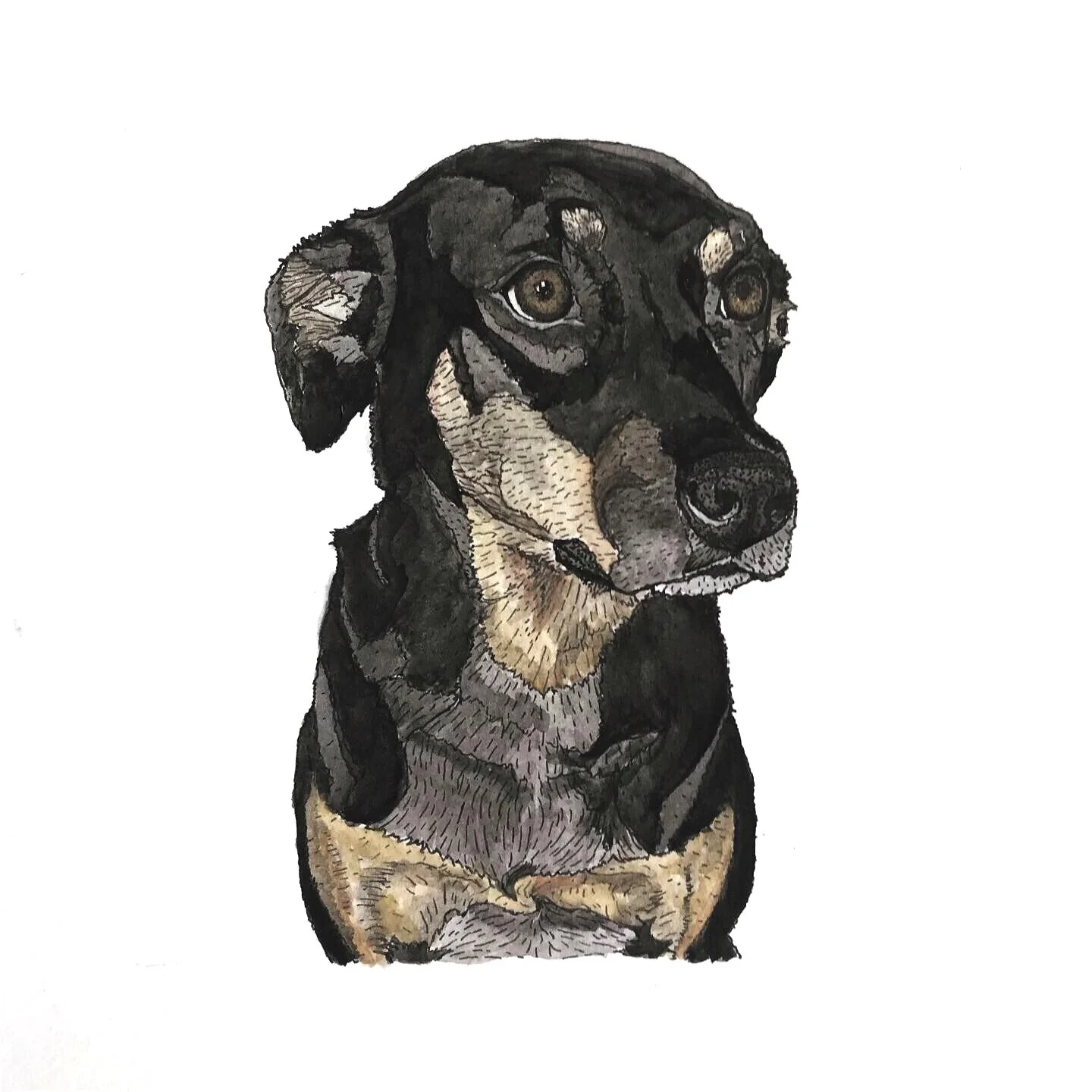 Lady, 5”x7,” India Ink and Watercolor