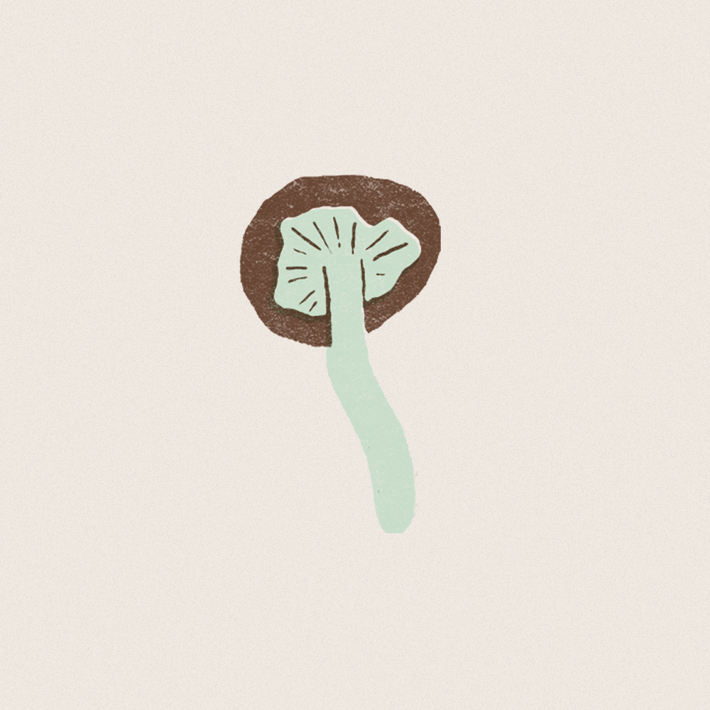 Mushroom.png