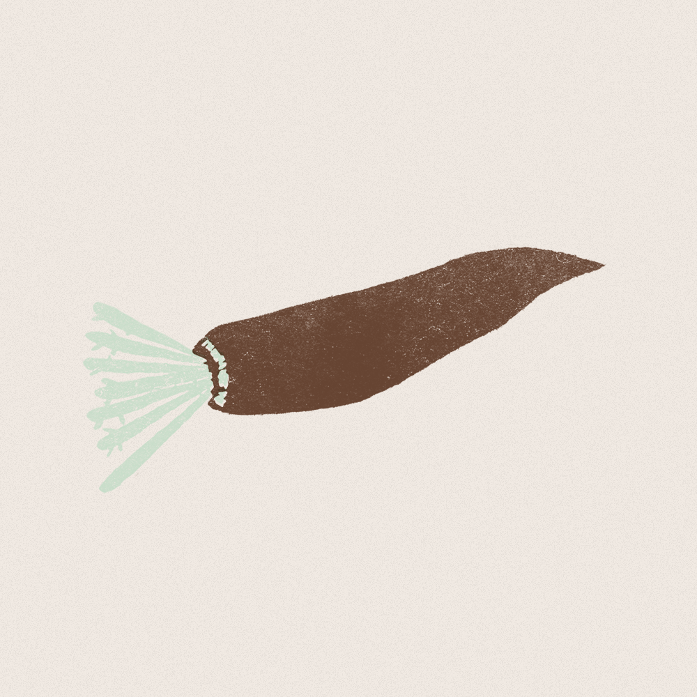 Daikon.png