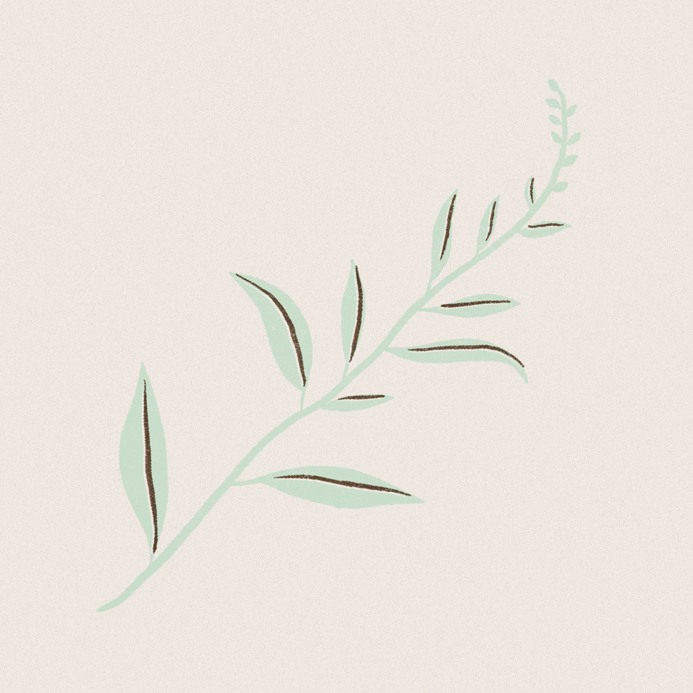 Basil.png