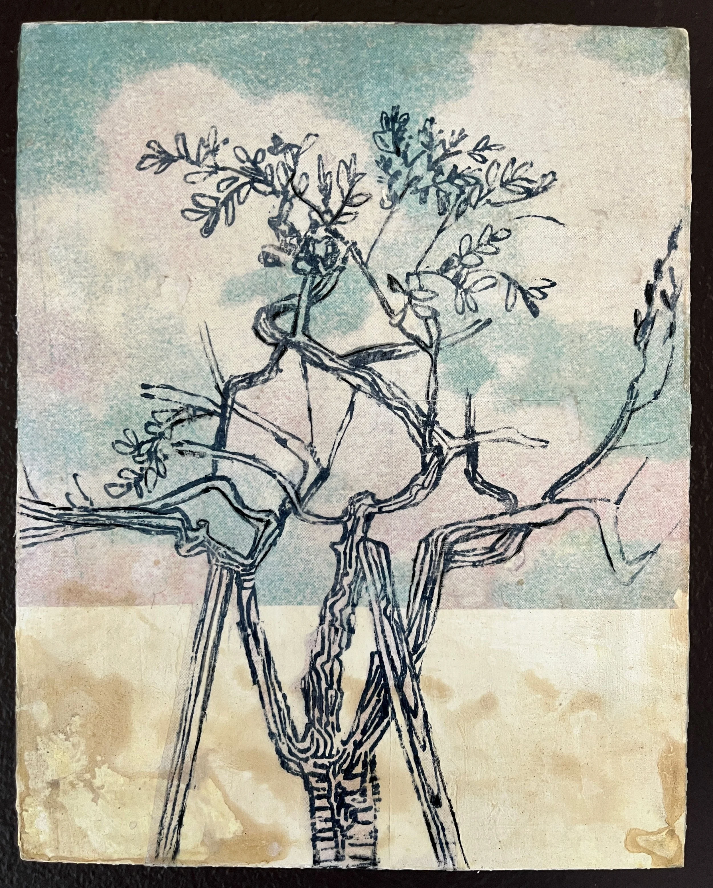 Cherry tree with supports, my backyard Denver