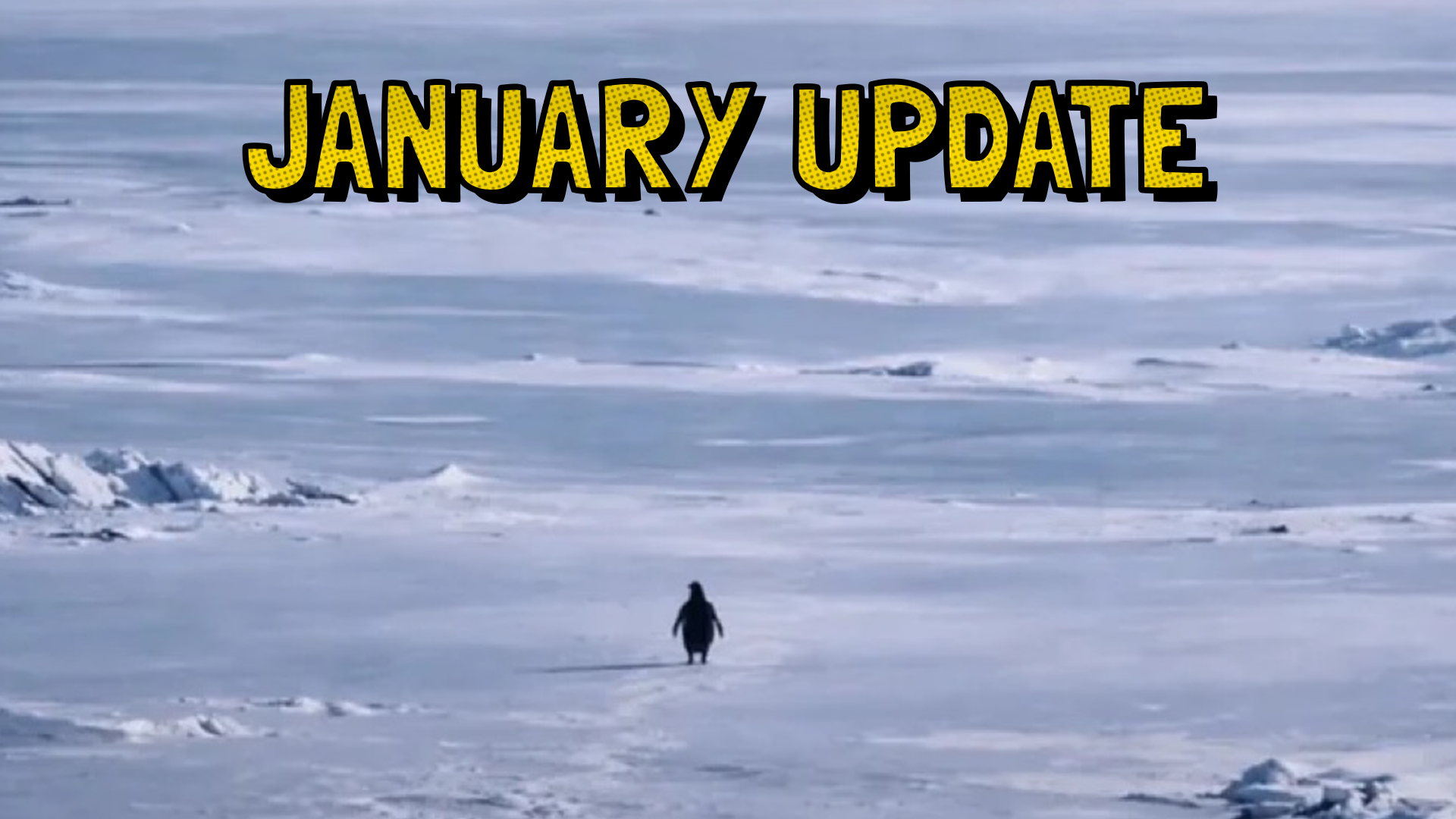 More Life - January 2026 Update