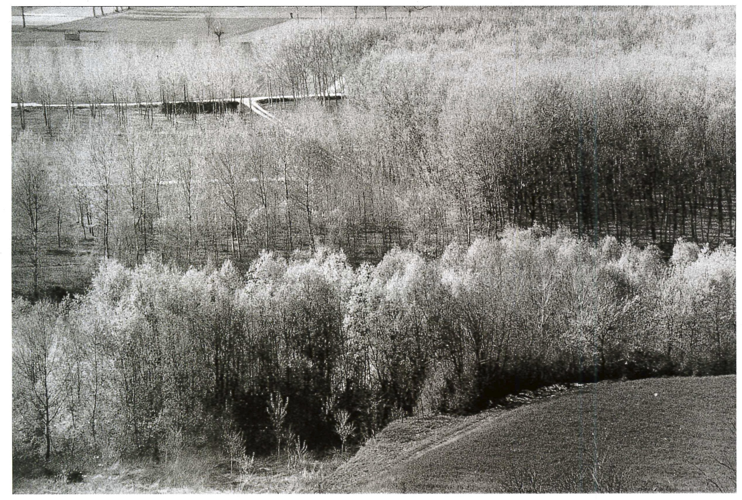   “Le Langhe”. Piemonte, 1964.&nbsp;  