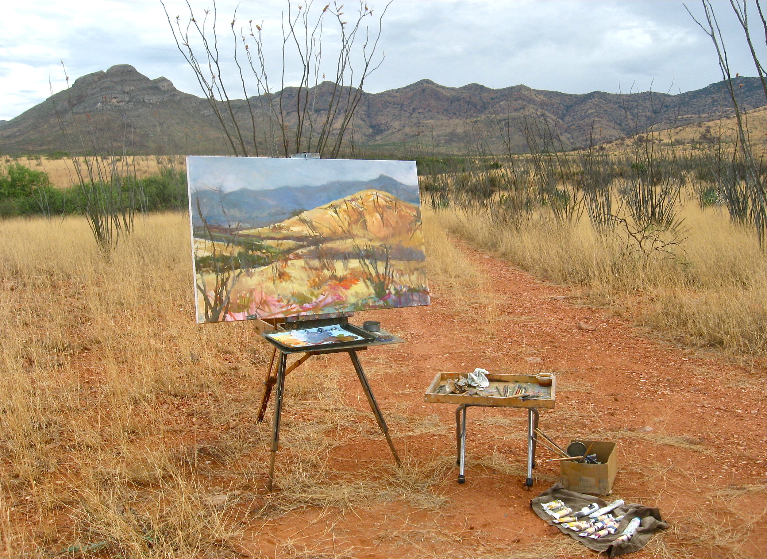 Ocotillo autumn  on site.jpg