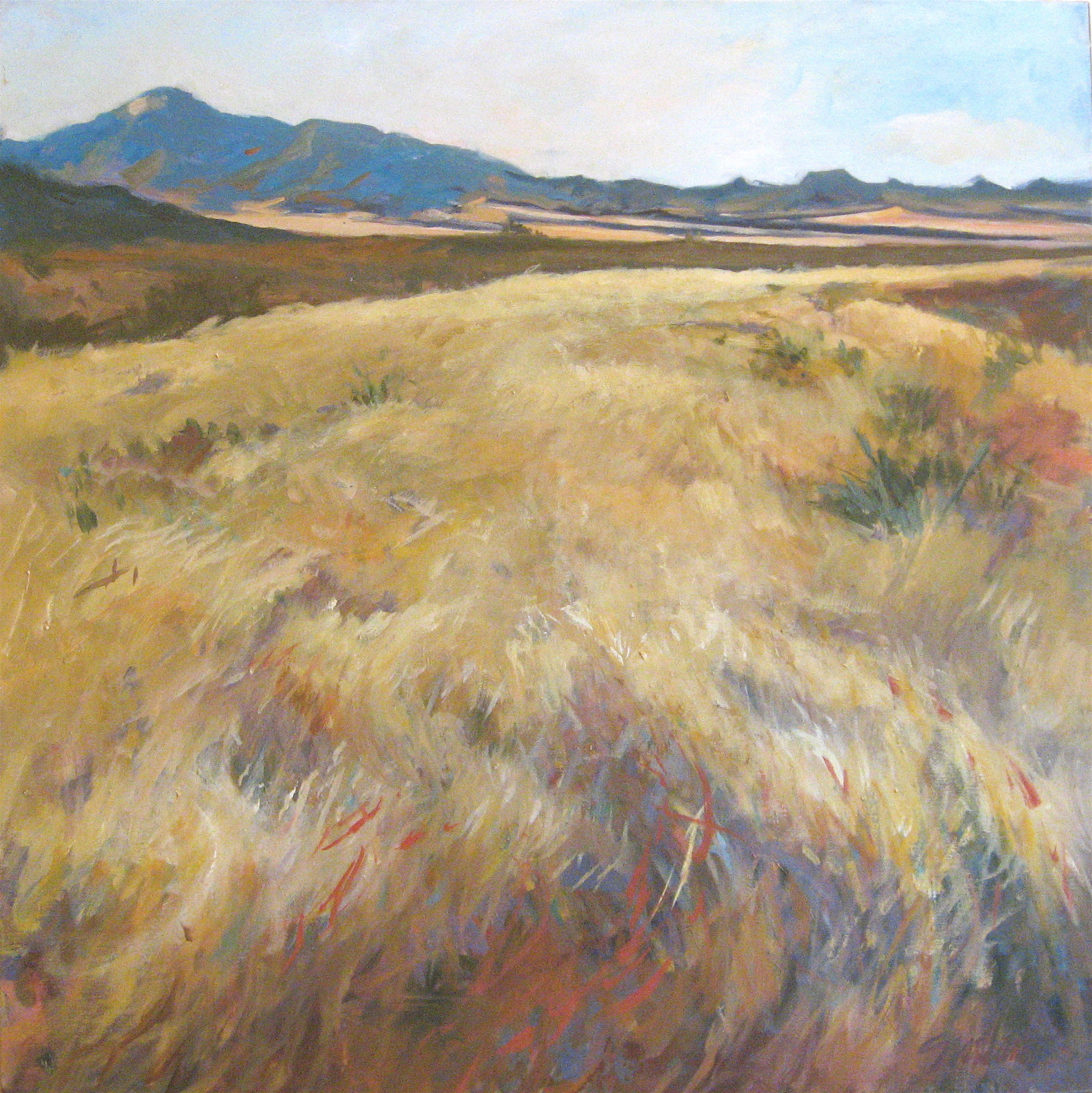 wintergrasses3.jpg