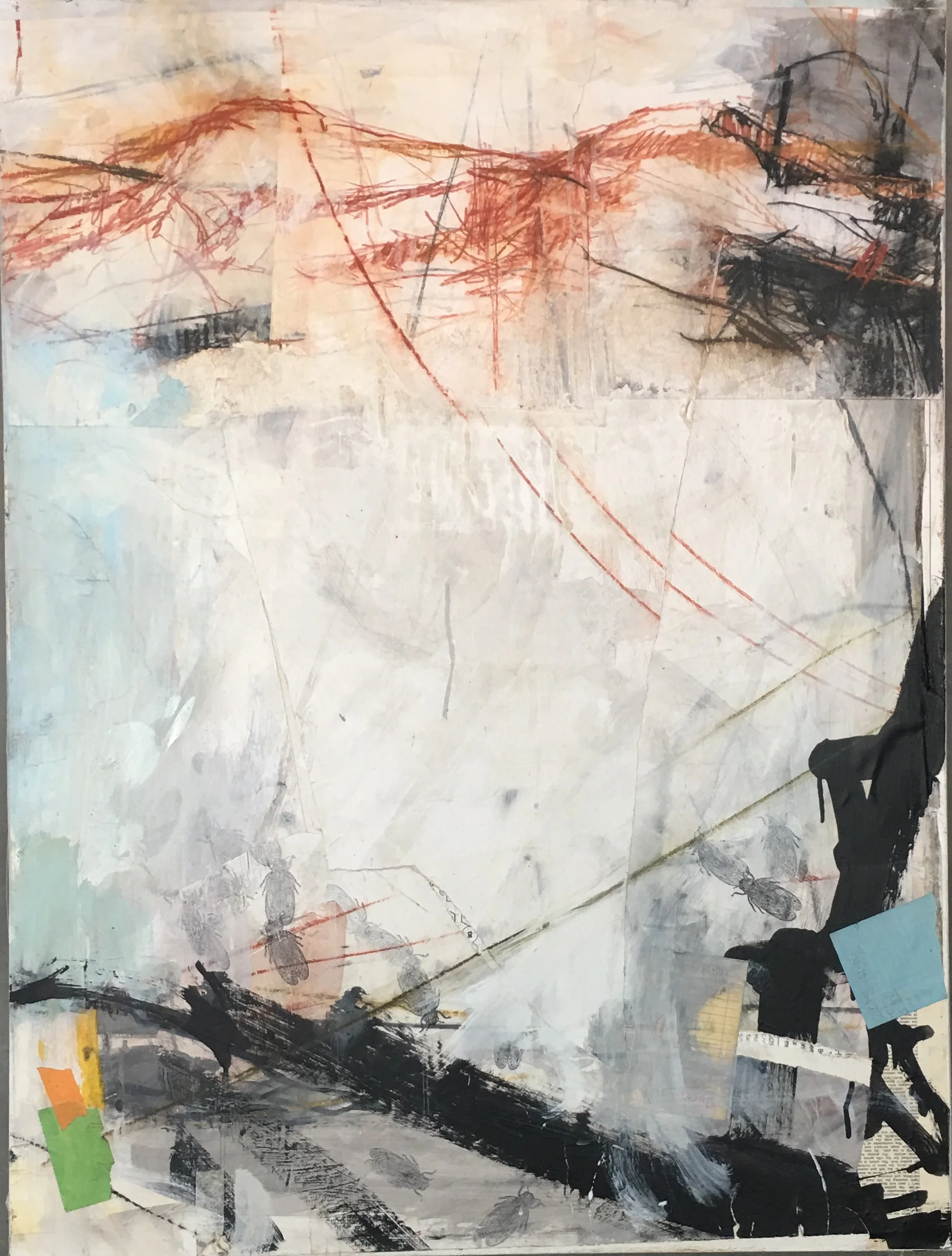 IMG_5541.JPG