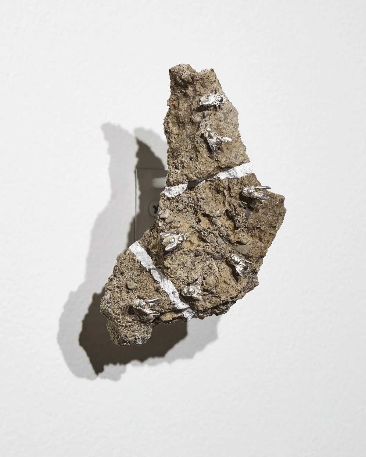 Artifacts/Ecofacts — Jessica Tenbusch - Visual Artist