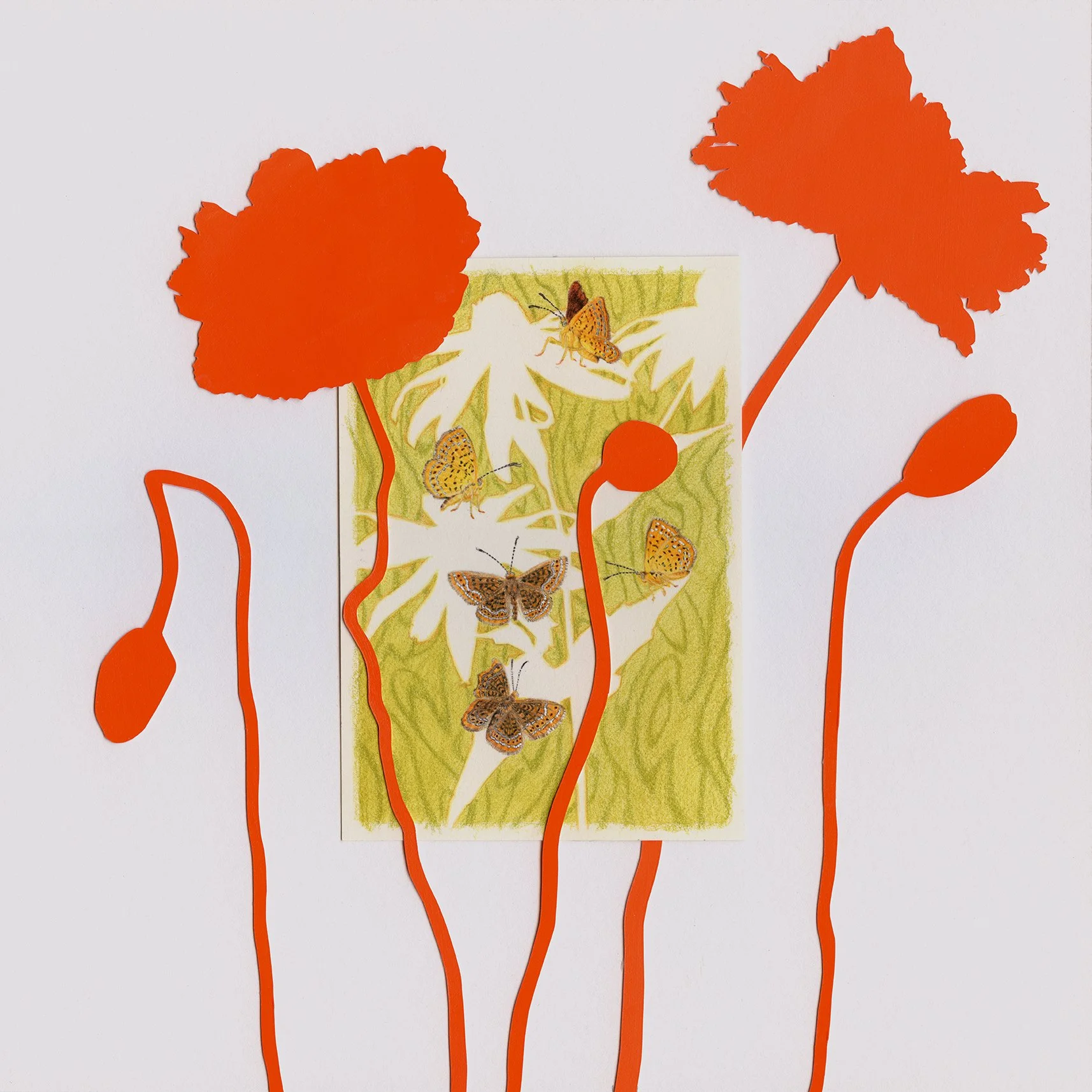 Spring Drawing Shadow Spring Shadows — Jessica Tenbusch - Visual Artist