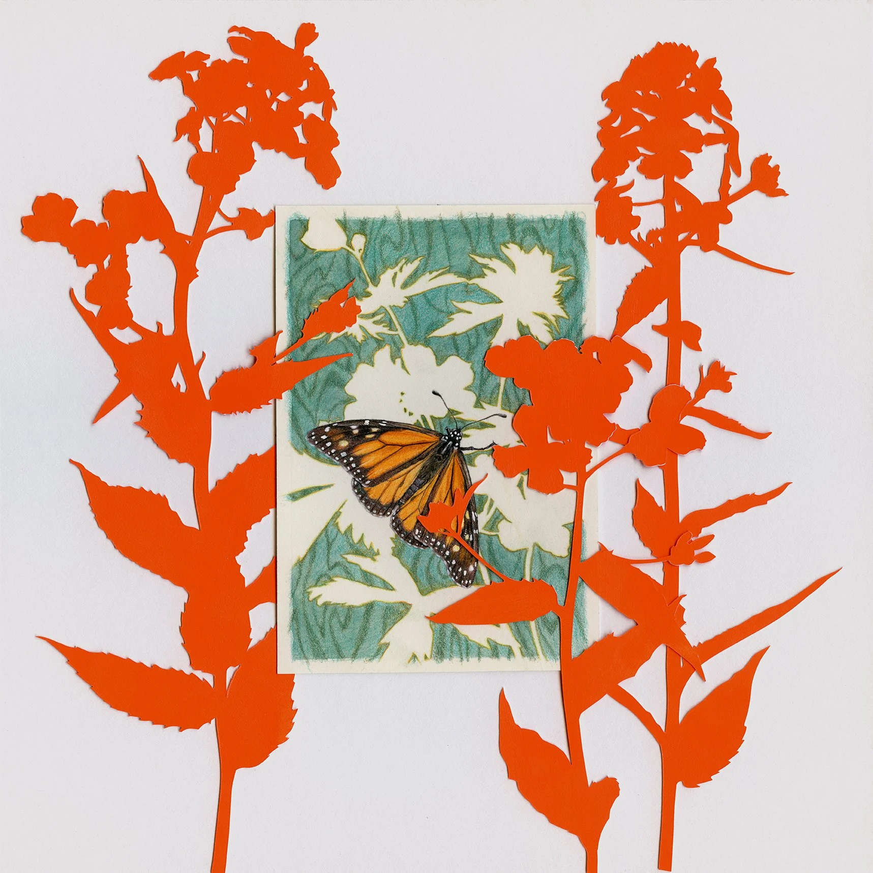 Spring Shadows — Jessica Tenbusch - Visual Artist