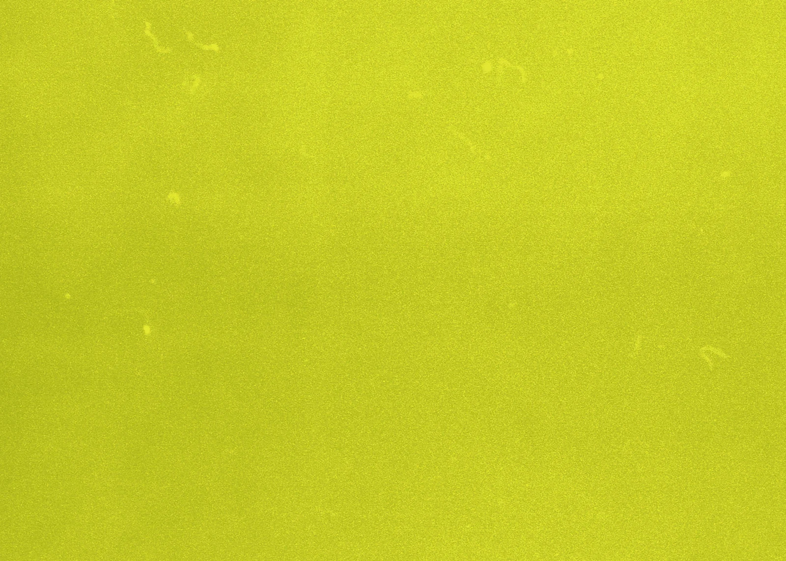 GreenBG.jpg