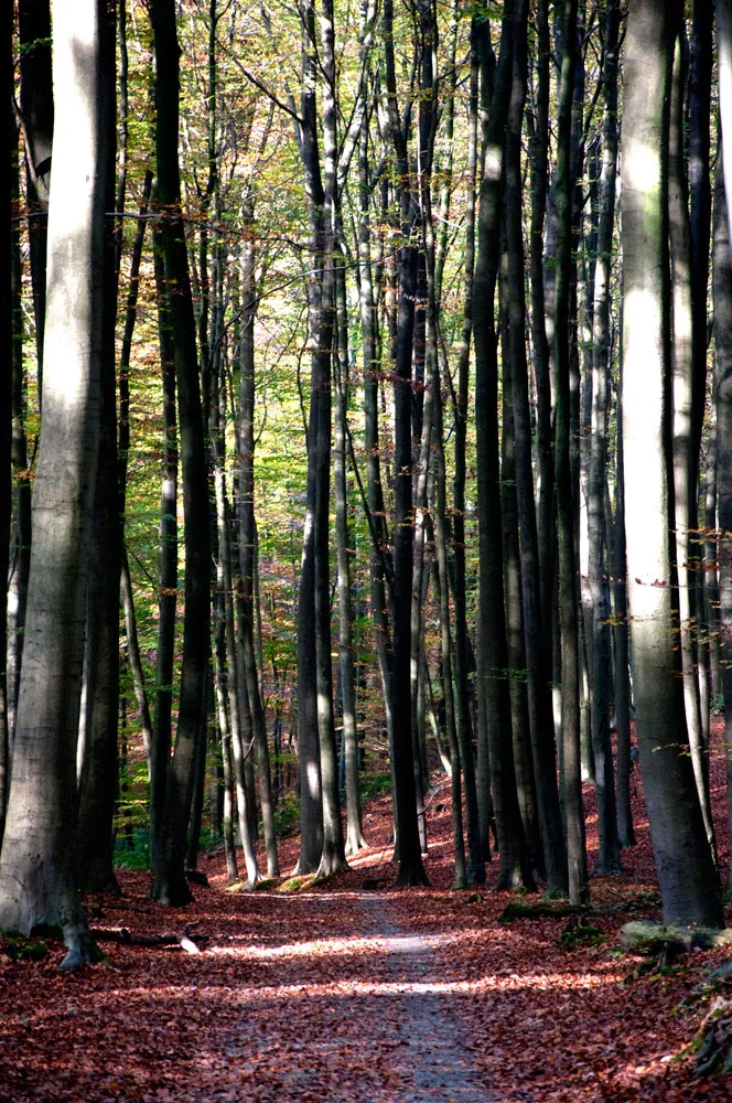 DSC_0033.jpg