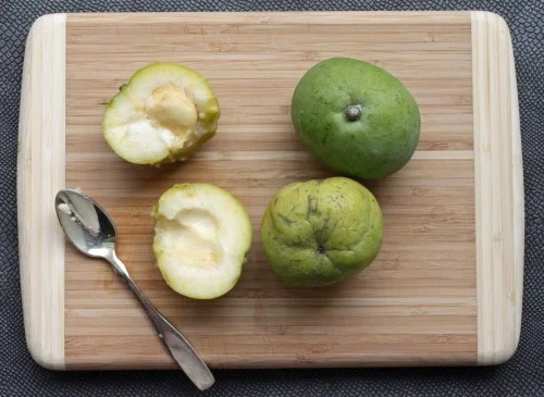 White Sapote
