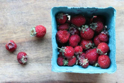 Tristar Strawberries and a Broken Finger