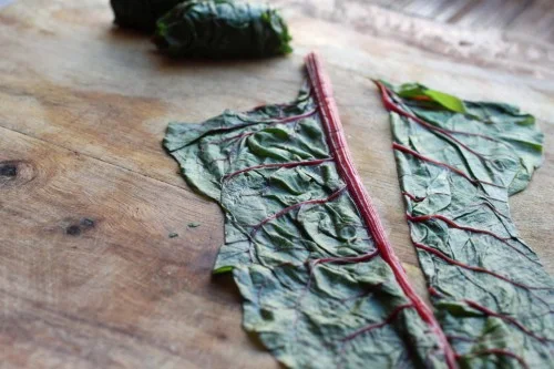 Swiss Chard "Leaves"