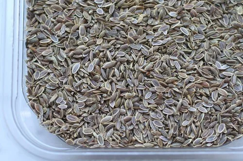 Dill Seed