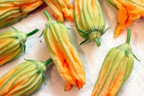Squash Blossom Dolmas